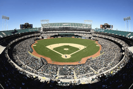 MFANC Summer Outing 2024