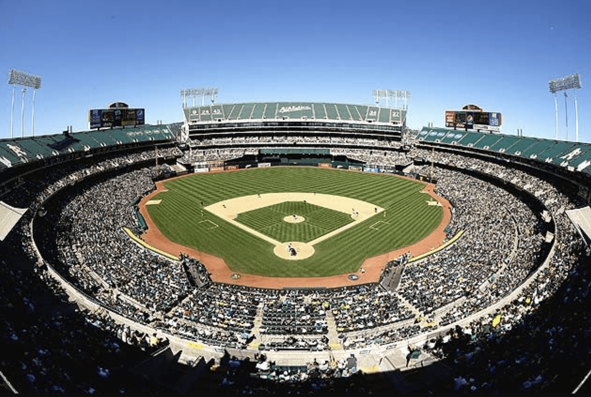 MFANC Summer Outing 2024